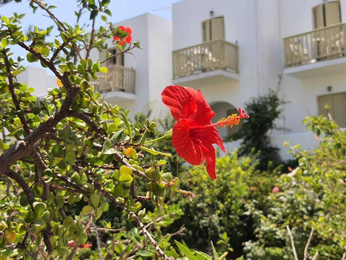 Vidalis Hotel Kionia Exteriér fotografie